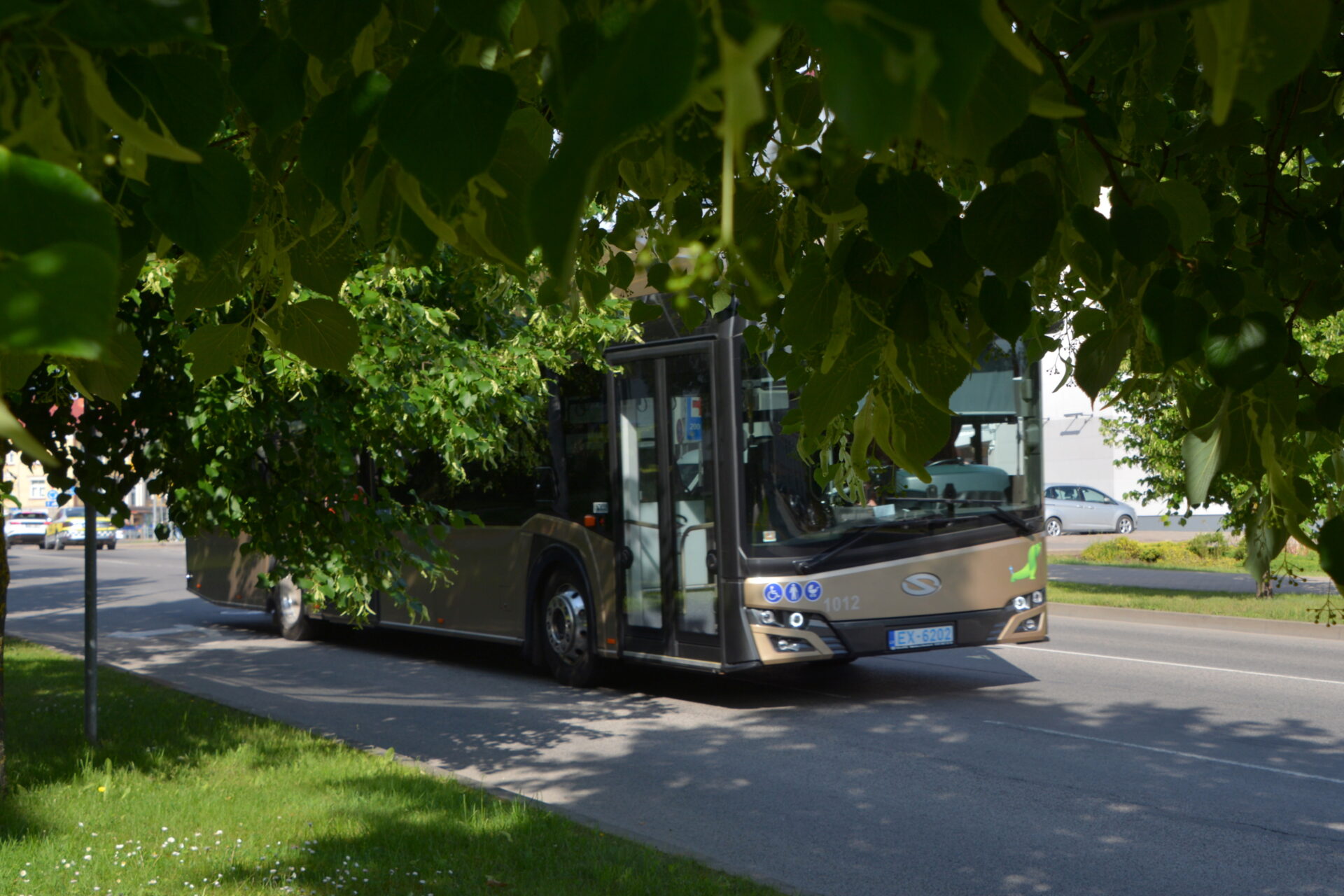 Skolēni arī vasaras brīvlaikā ar Valmieras pilsētas maršrutu autobusiem var braukt bez maksas